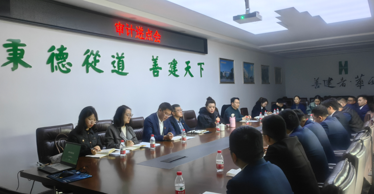 公司黨委委員、紀委書記付曉一行到綿陽青義項目督導復工復產(chǎn)工作